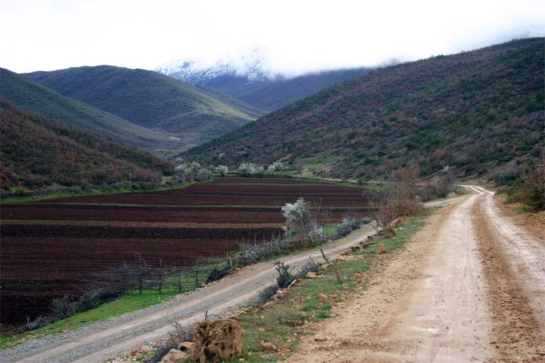 slideshow image