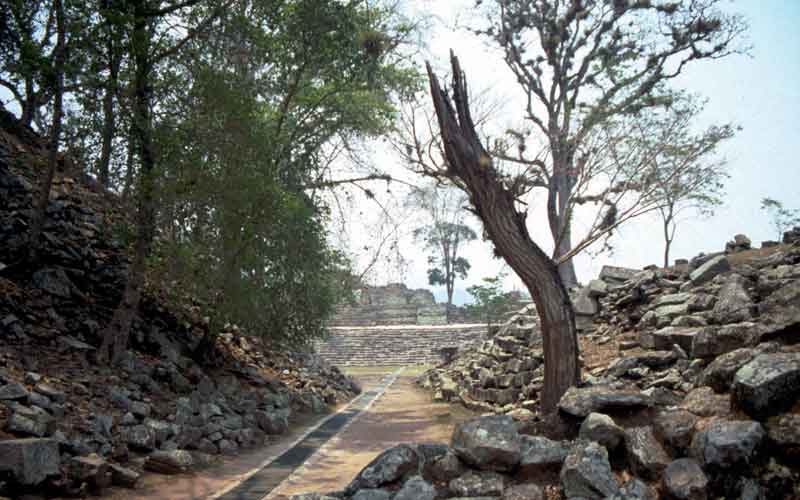 slideshow image