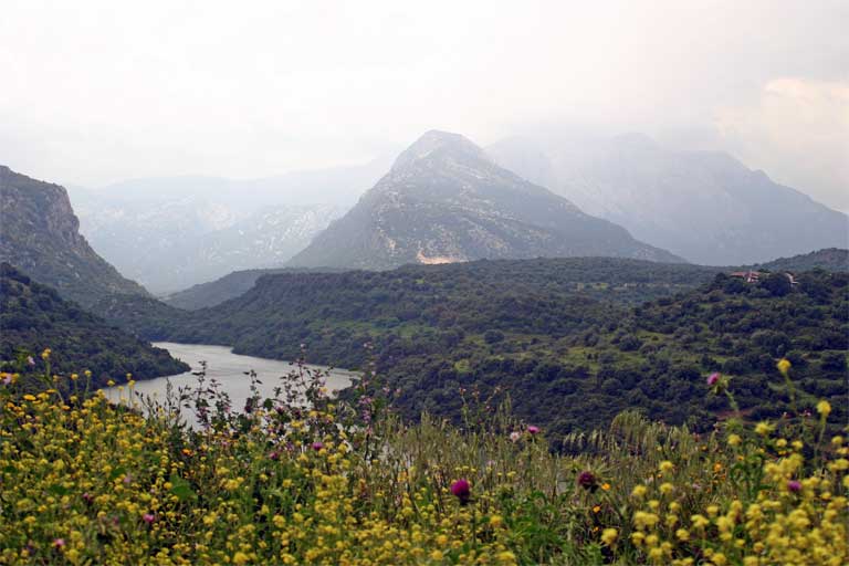 slideshow image