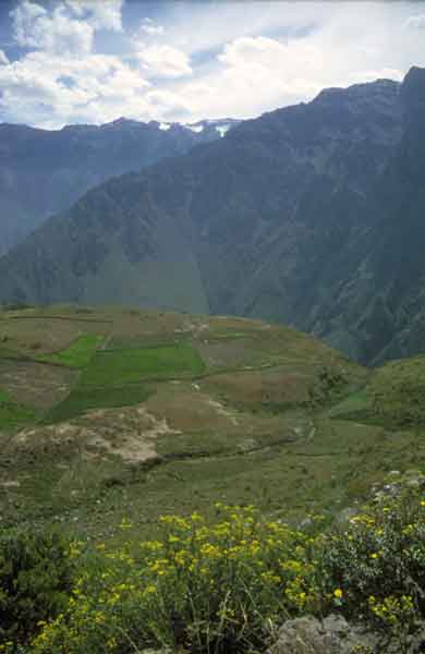 slideshow image
