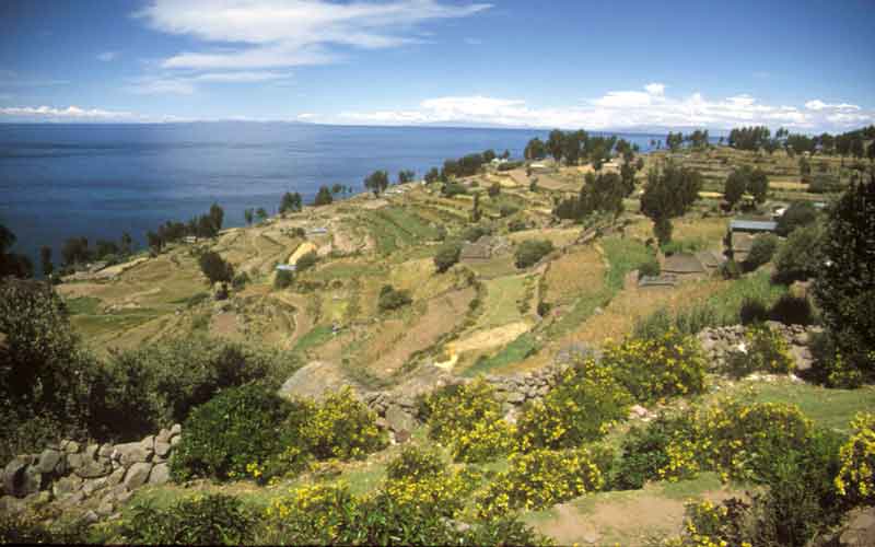 slideshow image