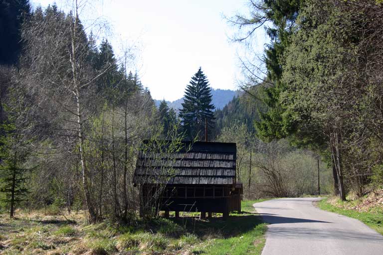 slideshow image