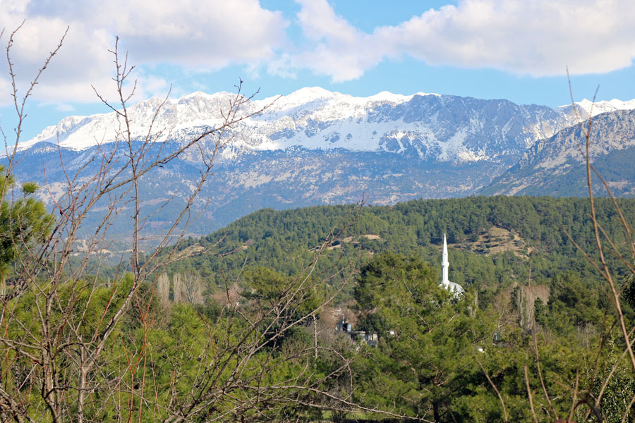 slideshow image