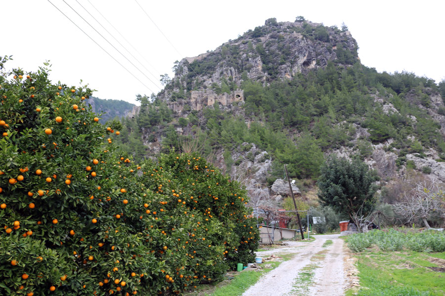 slideshow image